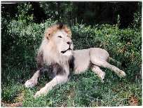 pp681b424c.png